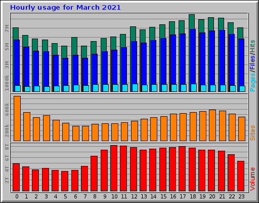 Hourly usage for March 2021