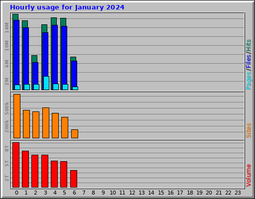 Hourly usage for January 2024