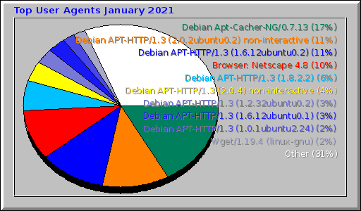 Top User Agents January 2021